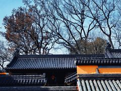 -灵谷景区