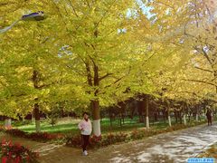 -辽东学院(南校区)