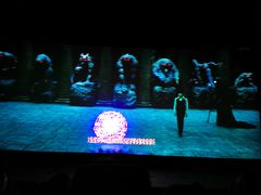 -奥斯卡升龙国际影城(RealD Cinema)