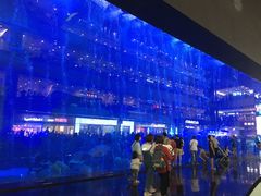 -成都浩海立方海洋公园