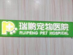 -瑞鹏宠物医院·微创内窥镜·骨外科·牙科(翠竹分院)