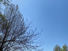 -云岗森林公园