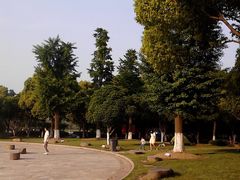 -昆山城市生态森林公园