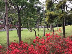 -广州市白云山风景名胜区