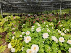 -洛阳市隋唐城遗址植物园