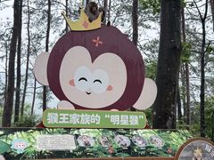 -千岛湖东南湖区