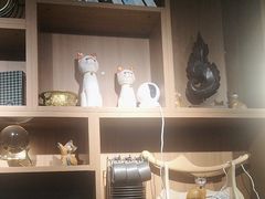 -梵猫·新养生(湛江鼎盛店)