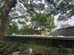 -灵岩山风景区