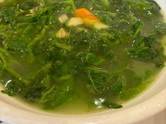 -东江渔村·古典园林·30年粤菜老字号(太和店)