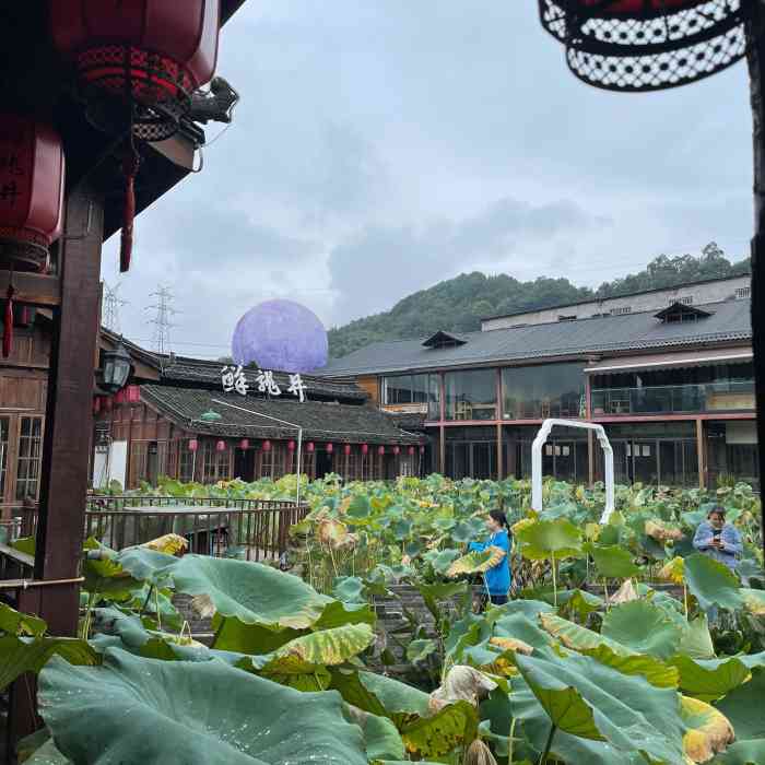 菜品将就 鲜龙井火锅公园(南山店) 06125/人 南岸区黄桷垭/南山重庆