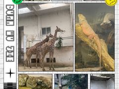 -成都动物园
