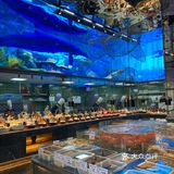 年底在上海 实现海鲜自由 大家来跟我一起薅羊毛 石斑鱼火锅棒