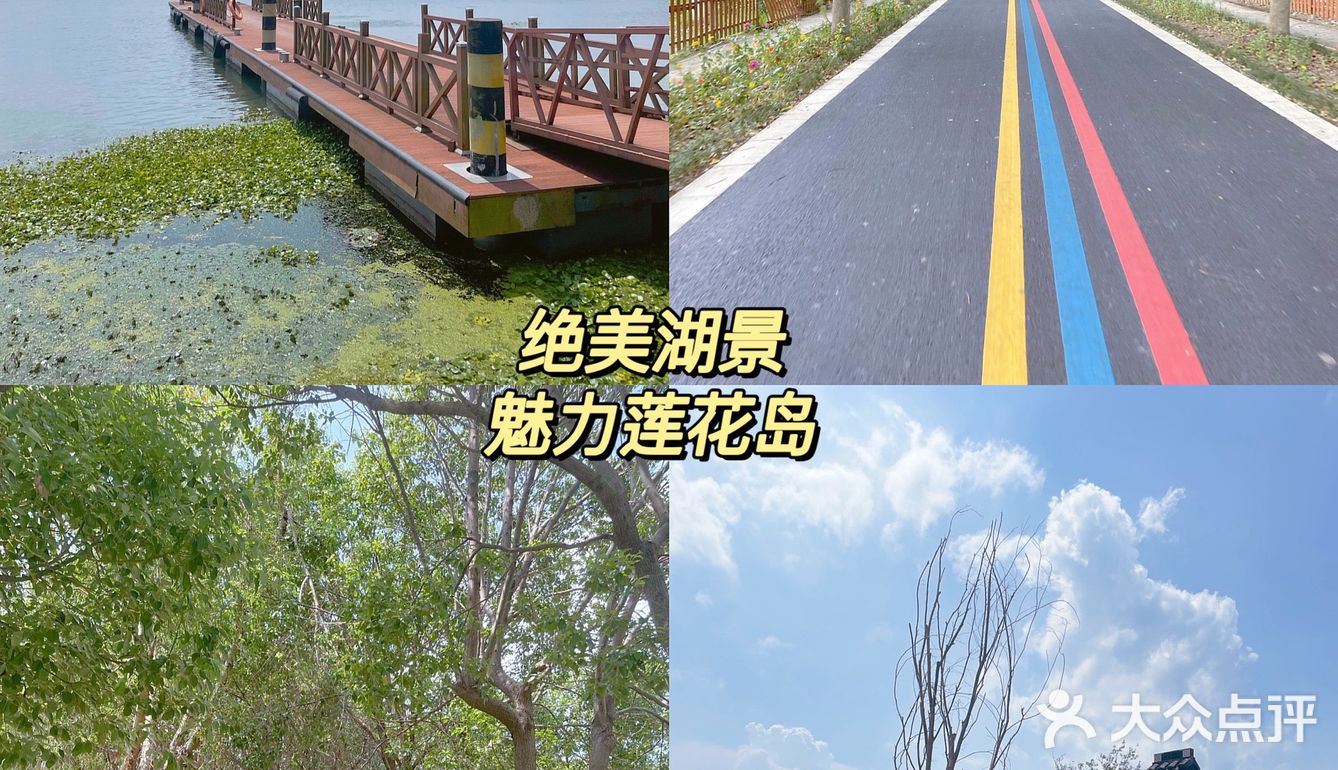 周末觅食记➡️上莲花岛吃2021的第一只螃蟹🦀️