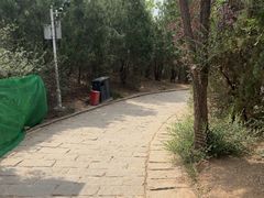 -南翠屏公园