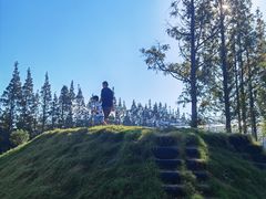 -前小桔亲子创意农场·草莓采摘·露营烧烤