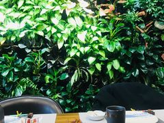 -森味薪火烧•烧鸟居酒屋•日本料理(望京店)