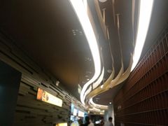 -巴奴毛肚火锅(商城路店)