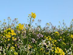 -西南政法大学(渝北校区)