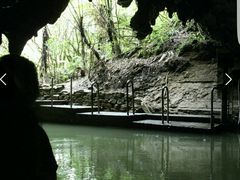 -怀托摩萤火虫洞