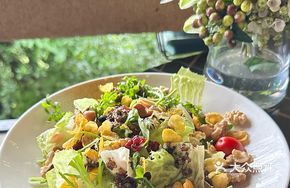 Healthy Nut and Vegetable Salad with Italian Vinaigrette