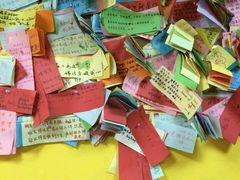-志龙皇冠吃货椰子铺