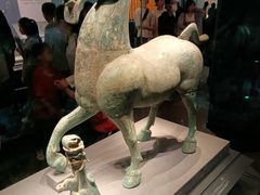 -广西壮族自治区博物馆