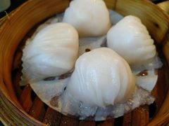 招牌虾饺皇-添运来(茶园奥园广场店)
