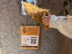 -上海K11购物艺术中心