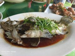 清蒸石斑鱼-盛港湾海鲜食府(黄沙店)