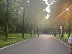 -海珠湖公园