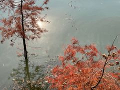 -青山湖景区