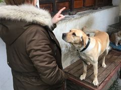 -漕溪人家