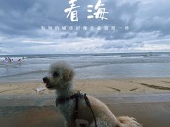-万尾金滩
