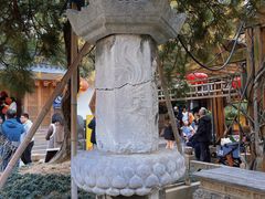 -龙华素斋(龙华路店)