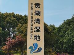 -贡湖湾湿地公园
