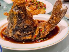 糖醋大鲤鱼-环宇草鸡店·特色炒鸡