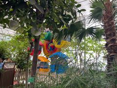 -南宫五洲植物乐园