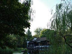 -日出青木