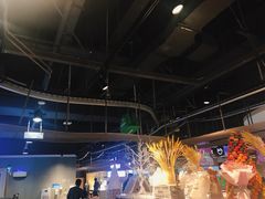 大堂-盒马鲜生(新都心店)