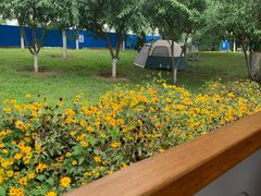 -永定河休闲森林公园