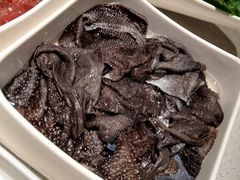 捞派毛肚-海底捞火锅(亲子主题北金鹰店)