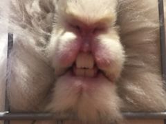 -藦茜花园宠物主题亲子互动体验馆(国顺东路店)