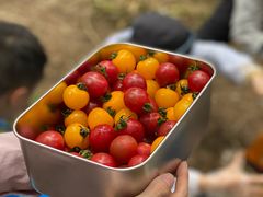 -土桥手掌鸡·26年灌县老味道(都江堰店)