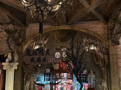 -雪灵魔法世界SHELLY’S TAROT(大良桂畔里店)
