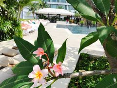 -新加坡文华东方酒店