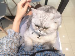 -Oasis绿洲银饰珍珠手作diy(壹方城店)