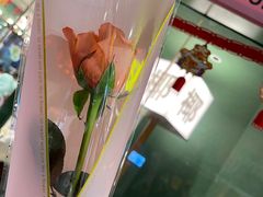 -椰小鸡·琼州糟粕醋·火锅(美兰缤纷城店)