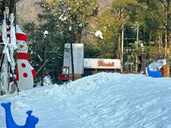 -藏龙百瀑风景区