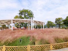 -牛岗山公园