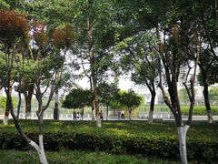 -后襄河公园
